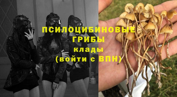 2c-b Покачи