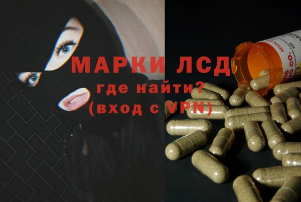 a pvp Аркадак